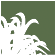 Landscape Design & Construction